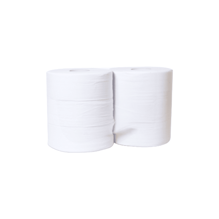 Deux rouleaux de Papier toilette Maxi Jumbo 350 m - pur ouate blanc Ecolabel 2 plis sont placés côte à côte sur un fond blanc uni.