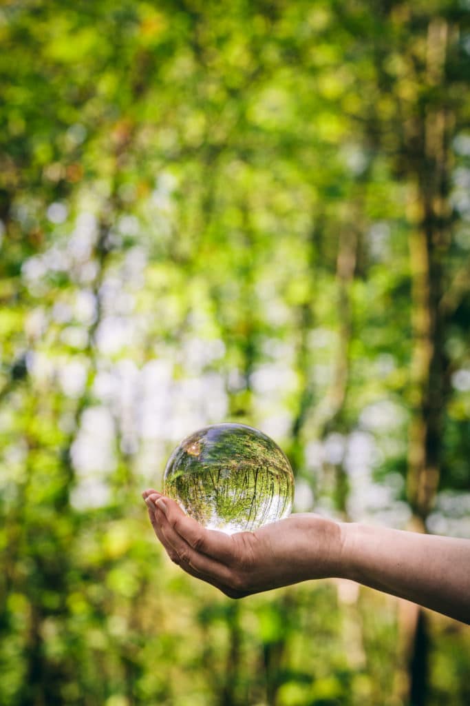 Une main tient une sphère en verre transparent devant une forêt verte et floue, la sphère reflétant les arbres - symbolisant la pureté et la nature, tout comme les produits d'hygiène alimentaire et les désinfections écologiques.